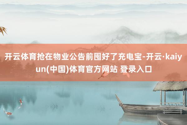 开云体育抢在物业公告前囤好了充电宝-开云·kaiyun(中国)体育官方网站 登录入口