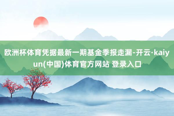 欧洲杯体育凭据最新一期基金季报走漏-开云·kaiyun(中国)体育官方网站 登录入口