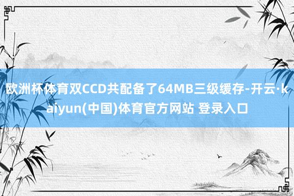 欧洲杯体育双CCD共配备了64MB三级缓存-开云·kaiyun(中国)体育官方网站 登录入口