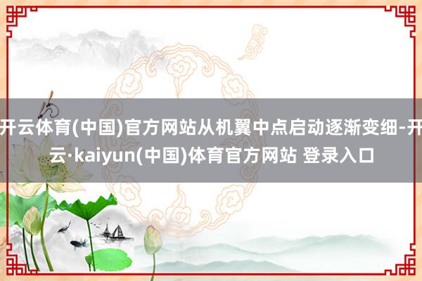 开云体育(中国)官方网站从机翼中点启动逐渐变细-开云·kaiyun(中国)体育官方网站 登录入口