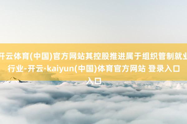 开云体育(中国)官方网站其控股推进属于组织管制就业行业-开云·kaiyun(中国)体育官方网站 登录入口